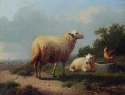 unknow artist Sheep 163 oil painting on canvas